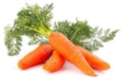 Fresh grown carrots are nice to chew in-between meals.