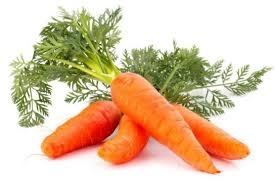 Fresh grown carrots are nice to chew in-between meals.